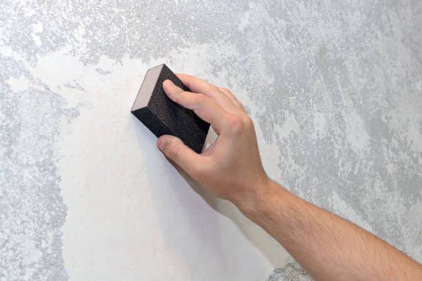 Best Real Estate Mold Inspection  in Mcconnell Af, KS